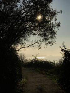 Lightworkers are Our Divine Creators' Earthbound Angels