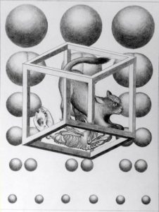 Schrodinger's cat equation