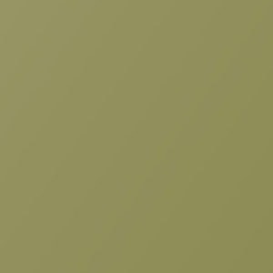 Blog - Olive Green