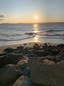 Blog - Discovery Park