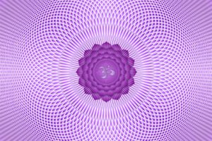 Blog - Violet Crow - crown chakra