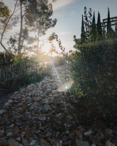 Blog: Fast - Day 8: N