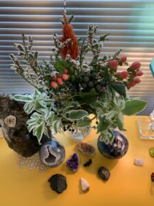 Flower Symbolism-Snow On The Mountain